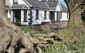 The Wandering Donkey Guest House